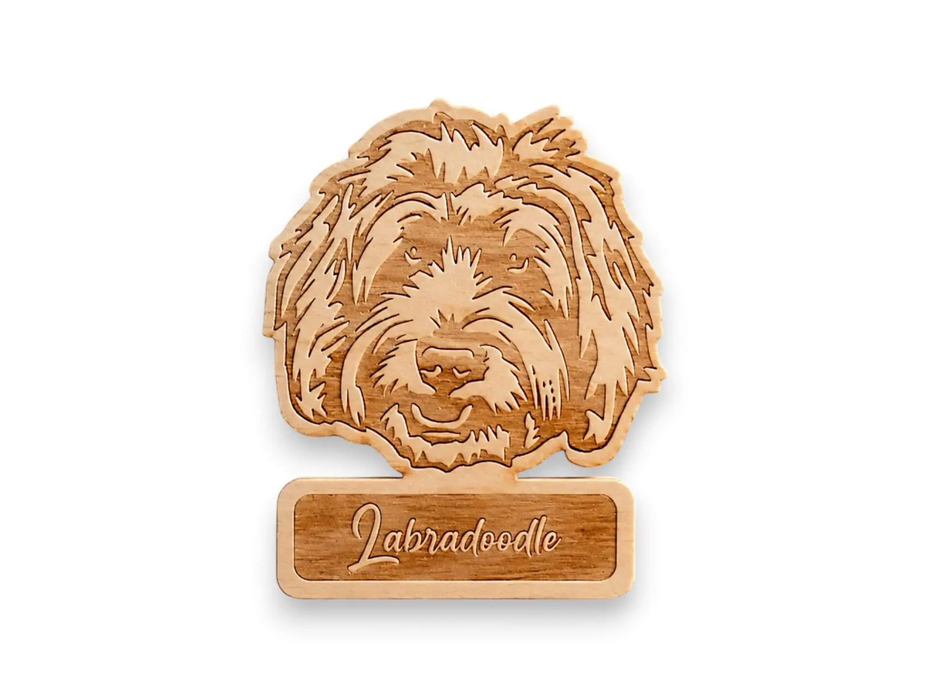labradoodle-Photoroom