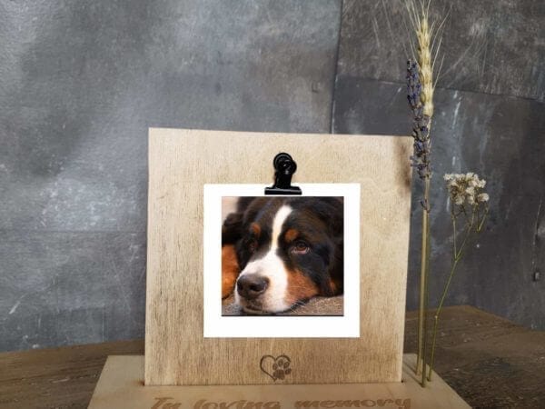 Zielsgeschenk voor Huisdier